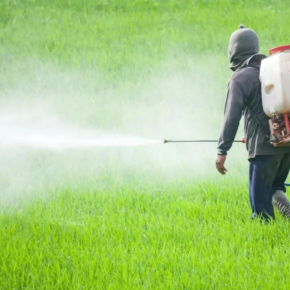 Mulch supplier in Warangal