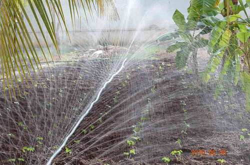 Mulch supplier in Warangal